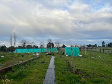 Vendo Parcela 5000 M2 Con Casa En La Unión