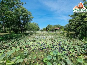 ที่ดินพร้อมบ้าน คลอง10 รังสิต-นครนายก หนองเสือ (ใกล้สถานีตำรวจภูธรหนองเสือ)