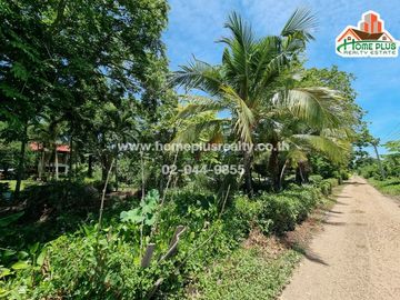 ที่ดินพร้อมบ้าน คลอง10 รังสิต-นครนายก หนองเสือ (ใกล้สถานีตำรวจภูธรหนองเสือ)