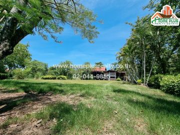 ที่ดินพร้อมบ้าน คลอง10 รังสิต-นครนายก หนองเสือ (ใกล้สถานีตำรวจภูธรหนองเสือ)
