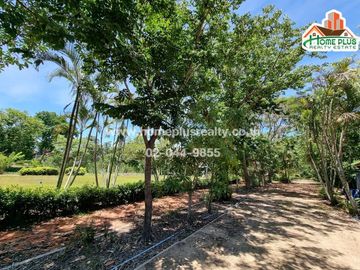 ที่ดินพร้อมบ้าน คลอง10 รังสิต-นครนายก หนองเสือ (ใกล้สถานีตำรวจภูธรหนองเสือ)