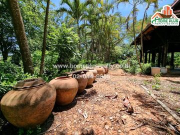 ที่ดินพร้อมบ้าน คลอง10 รังสิต-นครนายก หนองเสือ (ใกล้สถานีตำรวจภูธรหนองเสือ)