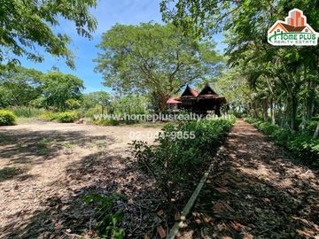 ที่ดินพร้อมบ้าน คลอง10 รังสิต-นครนายก หนองเสือ (ใกล้สถานีตำรวจภูธรหนองเสือ)