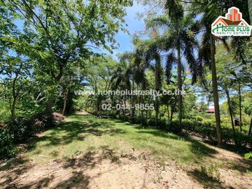ที่ดินพร้อมบ้าน คลอง10 รังสิต-นครนายก หนองเสือ (ใกล้สถานีตำรวจภูธรหนองเสือ)