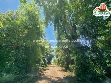 ที่ดินพร้อมบ้าน คลอง10 รังสิต-นครนายก หนองเสือ (ใกล้สถานีตำรวจภูธรหนองเสือ)
