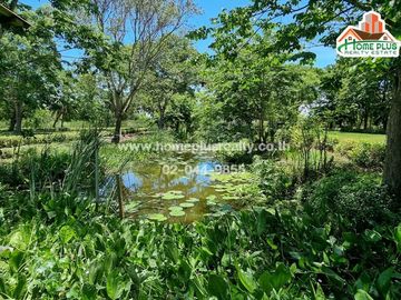 ที่ดินพร้อมบ้าน คลอง10 รังสิต-นครนายก หนองเสือ (ใกล้สถานีตำรวจภูธรหนองเสือ)