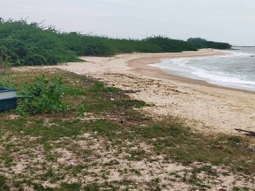 Land for sale on Chao Samran beach, good location, cheap price.