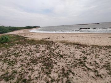Land for sale on Chao Samran beach, good location, cheap price.