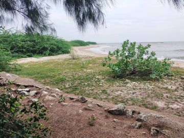 Land for sale on Chao Samran beach, good location, cheap price.