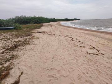 Land for sale on Chao Samran beach, good location, cheap price.