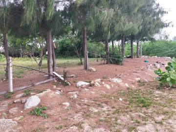 Land for sale on Chao Samran beach, good location, cheap price.