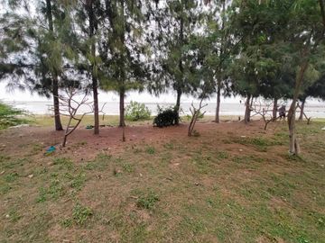 Land for sale on Chao Samran beach, good location, cheap price.