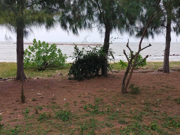 Land for sale on Chao Samran beach, good location, cheap price.