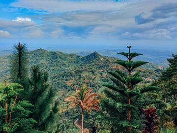 LOT FOR SALE IN BUCARI