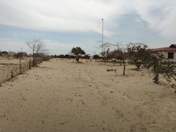 VENDO TERRENOS PARA CASAS DE CAMPO, CATACAOS - PIURA