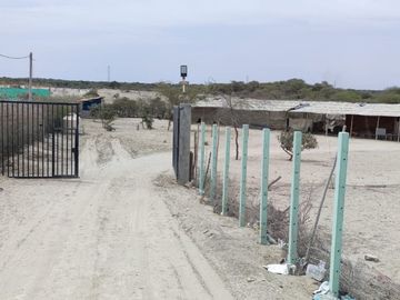 VENDO TERRENOS PARA CASAS DE CAMPO, CATACAOS - PIURA