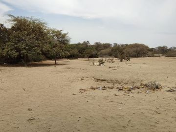 VENDO TERRENOS PARA CASAS DE CAMPO, CATACAOS - PIURA