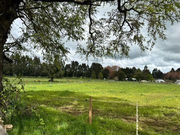 Vendo Campo 7,8 Hás En Lago Ranco