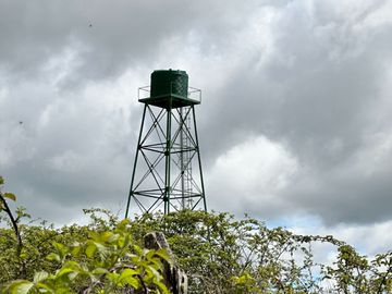 Vendo Campo 7,8 Hás En Lago Ranco
