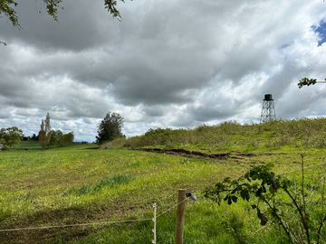Vendo Campo 7,8 Hás En Lago Ranco