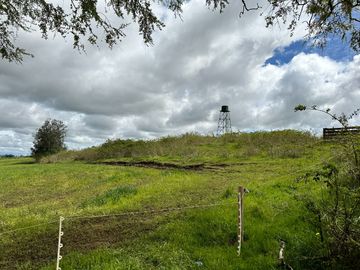 Vendo Campo 7,8 Hás En Lago Ranco