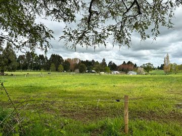 Vendo Campo 7,8 Hás En Lago Ranco