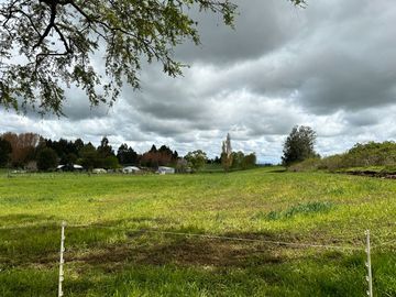 Vendo Campo 7,8 Hás En Lago Ranco