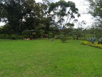 CASA FINCA EN VENTA - VIA RIONEGRO LA CEJA - SECTOR EL CANADÁ
