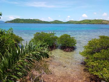 Coron beach house