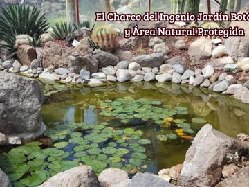 Departamento  con jardín, y jacuzzi privado, venta, la Lejona, San Miguel de Allende