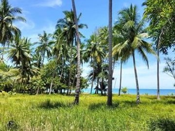 3.5 HECTARES  WHITE-SANDY BEACHFRONT PROPERTY,  CABANAS, INGROUND SWIMMING POOL, OWN-ELECTRICITY, AND POTABLE WATER SOURCE, SITUATED AT BRGY. TIGMAN,