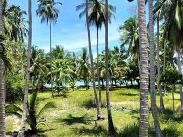 3.5 HECTARES  WHITE-SANDY BEACHFRONT PROPERTY,  CABANAS, INGROUND SWIMMING POOL, OWN-ELECTRICITY, AND POTABLE WATER SOURCE, SITUATED AT BRGY. TIGMAN,