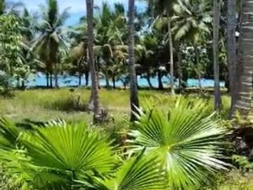 3.5 HECTARES  WHITE-SANDY BEACHFRONT PROPERTY,  CABANAS, INGROUND SWIMMING POOL, OWN-ELECTRICITY, AND POTABLE WATER SOURCE, SITUATED AT BRGY. TIGMAN,