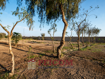 HERMOSOS LOTES DE CAMPO