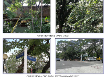 FORECLOSED LOTS: Prime properties  1.8538 hectares in Talayan Village, Sta. Mesa Heights, Quezon City.