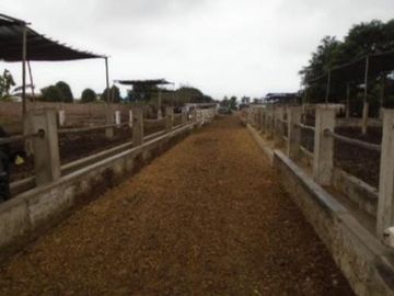 OCASIÓN LURÍN TERRENO CERCADO DE 6,000m2, IDEAL PARA ESTABLO O CRIANZA DE ANIMALES