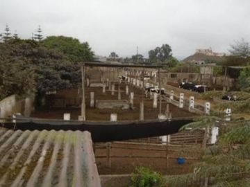OCASIÓN LURÍN TERRENO CERCADO DE 6,000m2, IDEAL PARA ESTABLO O CRIANZA DE ANIMALES