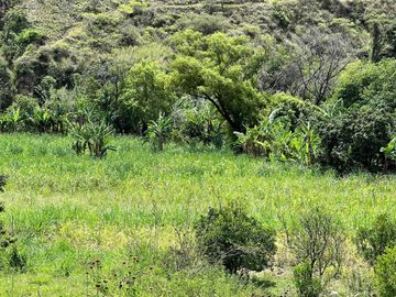 Terreno con río en venta en Quinara