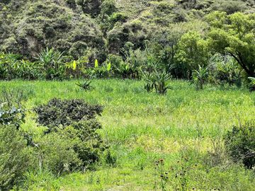 Terreno con río en venta en Quinara