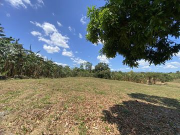 Affordable Pre-selling 996 sqm Farm Lot for sale in Magallanes Cavite