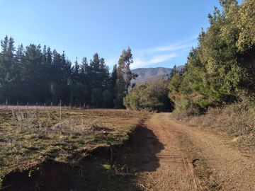 Se VENDE Casa con parcela de 11,25 hás en Rabones, Colbun VII región