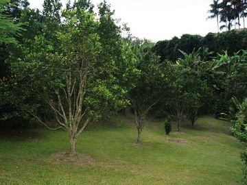 VENTA DE CASA CAMPESTRE DE 3.190 M2 DE LOTE Y UNA CONSTRUCCIÓN DE 275 M2, MANIZALES CALDAS