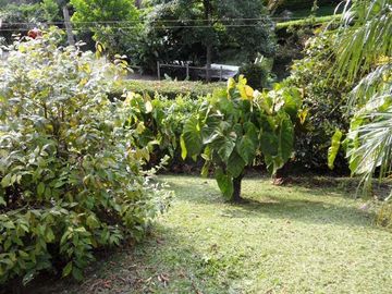 VENTA DE CASA CAMPESTRE DE 3.190 M2 DE LOTE Y UNA CONSTRUCCIÓN DE 275 M2, MANIZALES CALDAS