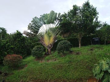 VENTA DE CASA CAMPESTRE DE 3.190 M2 DE LOTE Y UNA CONSTRUCCIÓN DE 275 M2, MANIZALES CALDAS