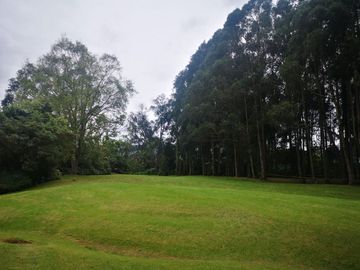 Venta Hermosa y amplia casa, con parque y rio!