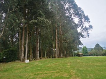 Venta Hermosa y amplia casa, con parque y rio!