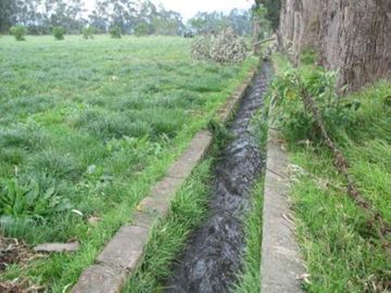 Vendo Hacienda Ganadera 45 Ha $3'600.000