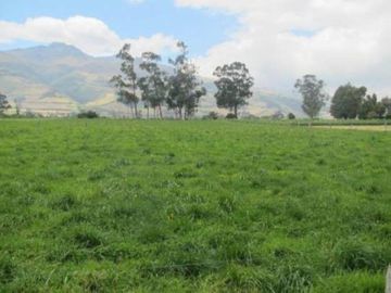 Vendo Hacienda Ganadera 45 Ha $3'600.000