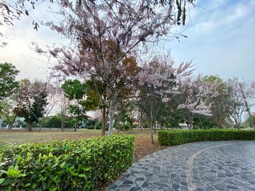 4 Bed house for sale in San Khampeang, Chiang Mai
