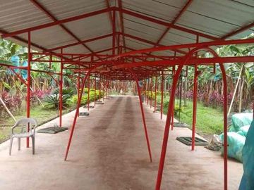 Venta Hacienda Bananera Los Ríos